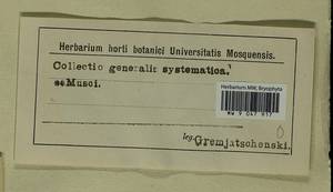 Meesia longiseta Hedw., Bryophytes, Bryophytes (no precise locality) (B0)