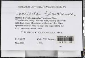 Indusiella thianschanica Broth. & Müll. Hal., Bryophytes, Bryophytes - Baikal & Transbaikal regions (B18) (Russia)