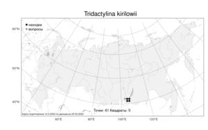 Tridactylina kirilowii (Turcz.) Sch. Bip., Atlas of the Russian Flora (FLORUS) (Russia)