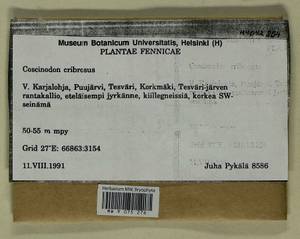 Coscinodon cribrosus (Hedw.) Spruce, Bryophytes, Bryophytes - Western Europe (BEu) (Finland)
