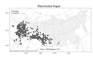 Ranunculus lingua L., Atlas of the Russian Flora (FLORUS) (Russia)