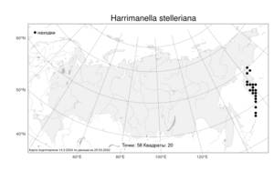 Harrimanella stelleriana (Pall.) Coville, Atlas of the Russian Flora (FLORUS) (Russia)