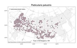 Pedicularis palustris L., Atlas of the Russian Flora (FLORUS) (Russia)