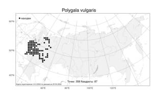 Polygala vulgaris L., Atlas of the Russian Flora (FLORUS) (Russia)