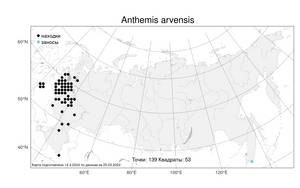 Anthemis arvensis L., Atlas of the Russian Flora (FLORUS) (Russia)