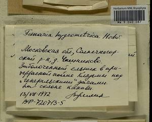 Funaria hygrometrica Hedw., Bryophytes, Bryophytes - Moscow City & Moscow Oblast (B6a) (Russia)