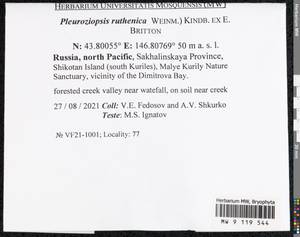 Pleuroziopsis ruthenica (Weinm.) Kindb. ex E. Britton, Bryophytes, Bryophytes - Russian Far East (excl. Chukotka & Kamchatka) (B20) (Russia)