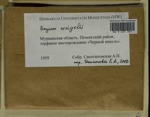 Ptychostomum weigelii (Biehler) J.R. Spence, Bryophytes, Bryophytes - Karelia, Leningrad & Murmansk Oblasts (B4) (Russia)