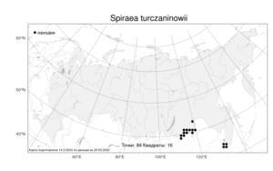 Spiraea ouensanensis H. Lév., Atlas of the Russian Flora (FLORUS) (Russia)