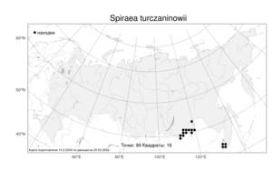 Spiraea ouensanensis H. Lév., Atlas of the Russian Flora (FLORUS) (Russia)