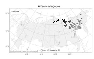 Artemisia lagopus Fisch. ex Besser, Atlas of the Russian Flora (FLORUS) (Russia)