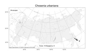 Chosenia urbaniana (Seemen) N. Chao, Atlas of the Russian Flora (FLORUS) (Russia)
