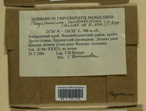 Plagiomnium confertidens (Lindb. & Arnell) T.J. Kop., Bryophytes, Bryophytes - Russian Far East (excl. Chukotka & Kamchatka) (B20) (Russia)