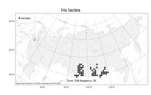 Iris lactea Pall., Atlas of the Russian Flora (FLORUS) (Russia)