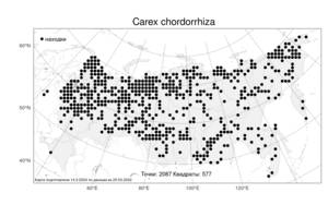 Carex chordorrhiza L.f., Atlas of the Russian Flora (FLORUS) (Russia)