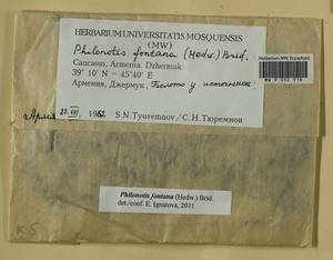 Philonotis fontana (Hedw.) Brid., Bryophytes, Bryophytes - Transcaucasia (B13) (Armenia)