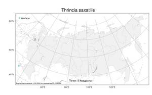 Thrincia saxatilis (Lam.) Holub & Moravec, Atlas of the Russian Flora (FLORUS) (Russia)