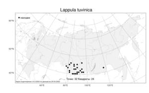 Lappula tuvinica Ovczinnikova, Atlas of the Russian Flora (FLORUS) (Russia)