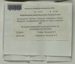 Mielichhoferia mielichhoferiana (Funck) Loeske, Bryophytes, Bryophytes - Krasnoyarsk Krai, Tyva & Khakassia (B17) (Russia)