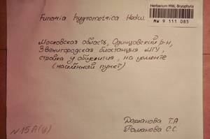 MW 9 111 085, Funaria hygrometrica Hedw., Bryophytes, Bryophytes - Moscow City & Moscow Oblast (B6a) (Russia)