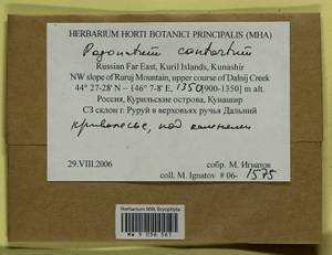 Pogonatum contortum (Menzies ex Brid.) Lesq., Bryophytes, Bryophytes - Russian Far East (excl. Chukotka & Kamchatka) (B20) (Russia)