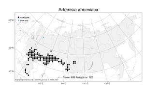 Artemisia armeniaca Lam., Atlas of the Russian Flora (FLORUS) (Russia)