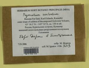 Pogonatum contortum (Menzies ex Brid.) Lesq., Bryophytes, Bryophytes - Russian Far East (excl. Chukotka & Kamchatka) (B20) (Russia)