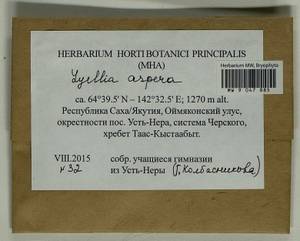 Lyellia aspera (I. Hagen & C.E.O. Jensen) Frye, Bryophytes, Bryophytes - Yakutia (B19) (Russia)