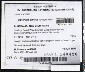 Ditrichum difficile (Duby) M. Fleisch., Bryophytes, Bryophytes - Australia & New Zealand (BAu) (Australia)