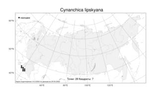 Cynanchica lipskyana (V.I.Krecz.) P.Caputo & Del Guacchio, Atlas of the Russian Flora (FLORUS) (Russia)