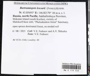 Bartramiopsis lescurii (James) Kindb., Bryophytes, Bryophytes - Russian Far East (excl. Chukotka & Kamchatka) (B20) (Russia)
