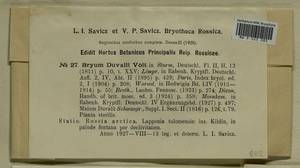 Ptychostomum weigelii (Biehler) J.R. Spence, Bryophytes, Bryophytes - Karelia, Leningrad & Murmansk Oblasts (B4) (Russia)