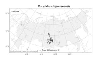 Corydalis subjenisseensis E. M. Antipova, Atlas of the Russian Flora (FLORUS) (Russia)