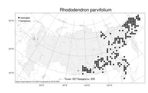 Rhododendron parvifolium Adams, Atlas of the Russian Flora (FLORUS) (Russia)