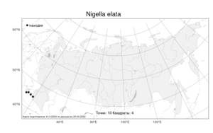 Nigella elata Boiss., Atlas of the Russian Flora (FLORUS) (Russia)