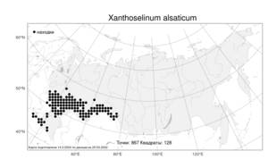 Xanthoselinum alsaticum (L.) Schur, Atlas of the Russian Flora (FLORUS) (Russia)