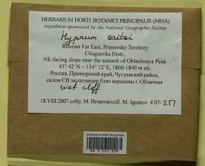 Hypnum saitoi Ando, Bryophytes, Bryophytes - Russian Far East (excl. Chukotka & Kamchatka) (B20) (Russia)