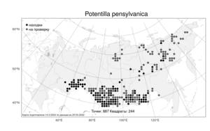 Potentilla pensylvanica L., Atlas of the Russian Flora (FLORUS) (Russia)