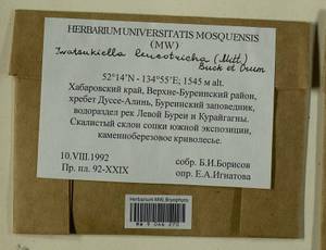 Iwatsukiella leucotricha (Mitt.) W.R. Buck & H.A. Crum, Bryophytes, Bryophytes - Russian Far East (excl. Chukotka & Kamchatka) (B20) (Russia)