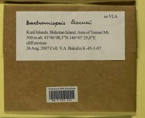 Bartramiopsis lescurii (James) Kindb., Bryophytes, Bryophytes - Russian Far East (excl. Chukotka & Kamchatka) (B20) (Russia)