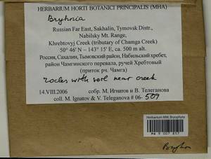 Bryhnia, Bryophytes, Bryophytes - Russian Far East (excl. Chukotka & Kamchatka) (B20) (Russia)