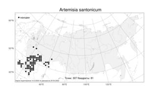 Artemisia santonicum L., Atlas of the Russian Flora (FLORUS) (Russia)