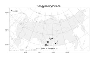 Kengyilia kryloviana (Schischk.) C.Yen, J.L.Yang & B.R.Baum, Atlas of the Russian Flora (FLORUS) (Russia)