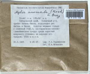Mylia anomala (Hook.) Gray, Bryophytes, Bryophytes - Russian Far East (excl. Chukotka & Kamchatka) (B20) (Russia)
