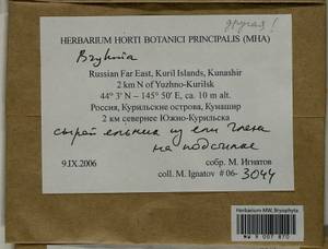 Bryhnia, Bryophytes, Bryophytes - Russian Far East (excl. Chukotka & Kamchatka) (B20) (Russia)