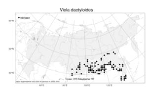 Viola dactyloides Roem. & Schult., Atlas of the Russian Flora (FLORUS) (Russia)