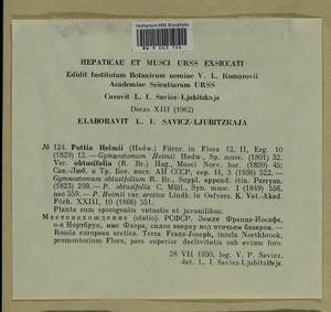 Hennediella heimii (Hedw.) R.H. Zander, Bryophytes, Bryophytes - European North East (B7) (Russia)