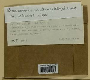 Drepanocladus sendtneri (Schimp. ex H. Müll.) Warnst., Bryophytes, Bryophytes - Permsky Krai, Udmurt Republic, Sverdlovsk & Kirov Oblasts (B8) (Russia)