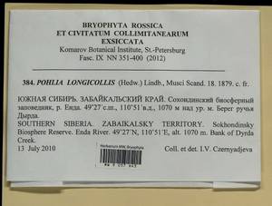 Pohlia longicolla (Hedw.) Lindb., Bryophytes, Bryophytes - Baikal & Transbaikal regions (B18) (Russia)