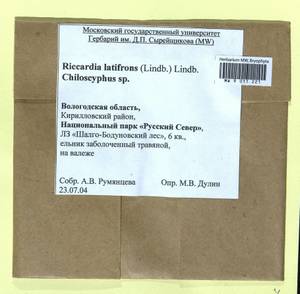 Riccardia latifrons (Lindb.) Lindb., Bryophytes, Bryophytes - European North East (B7) (Russia)